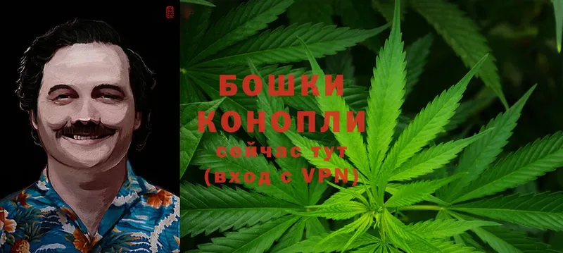 Бошки марихуана Ganja  купить наркотики цена  Волгоград 